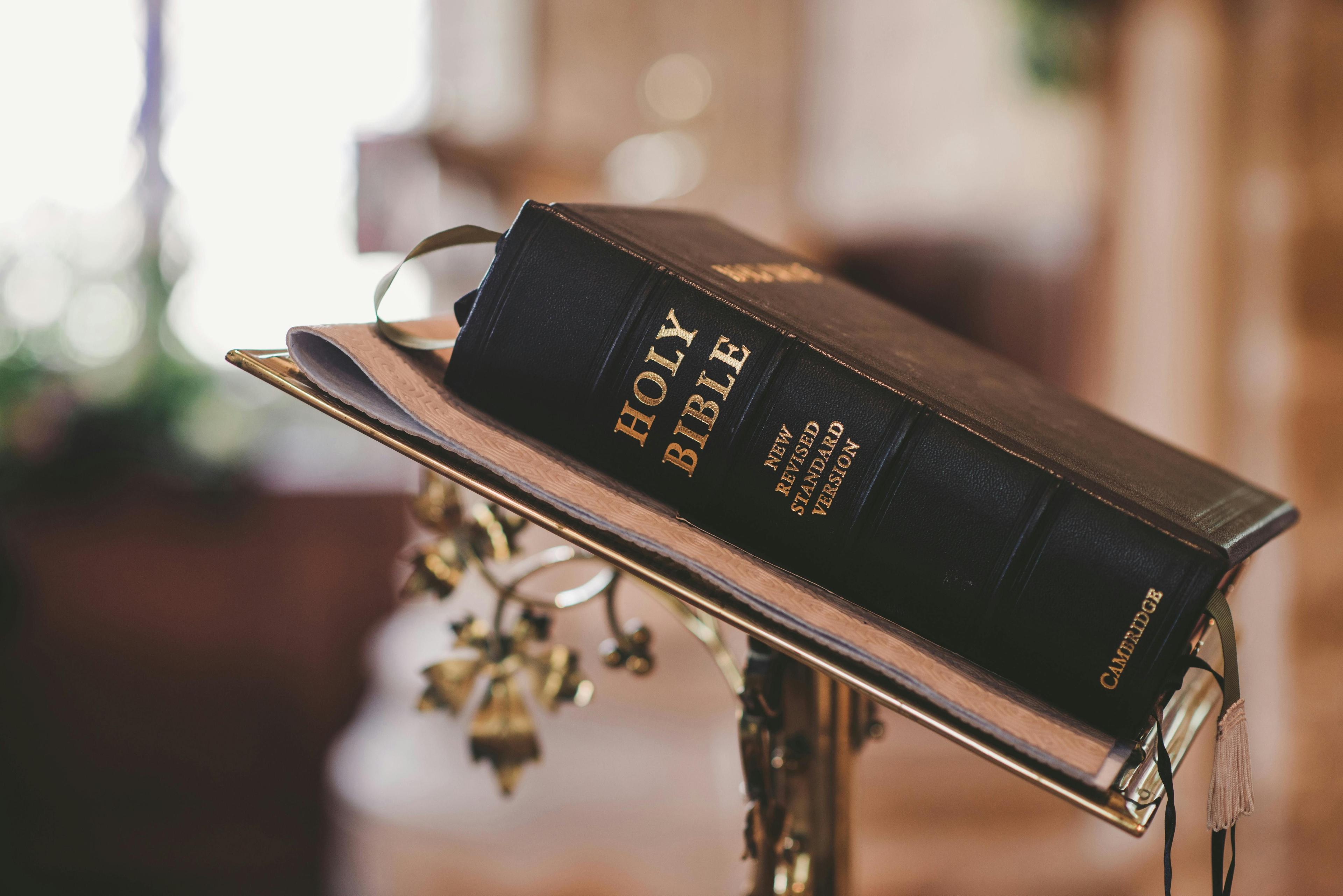 Image from Pexels