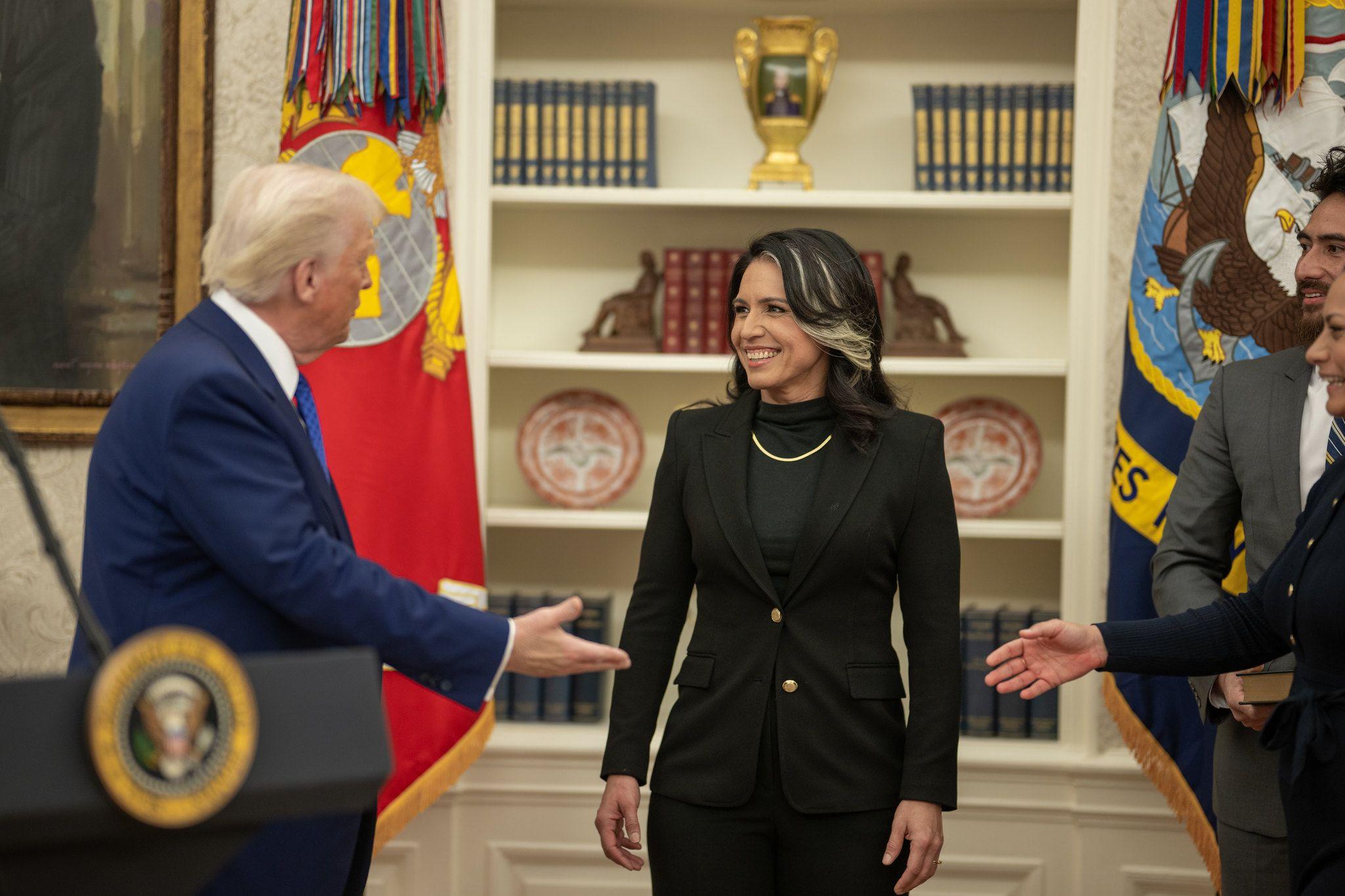 An image of Key Senators Back Tulsi Gabbard