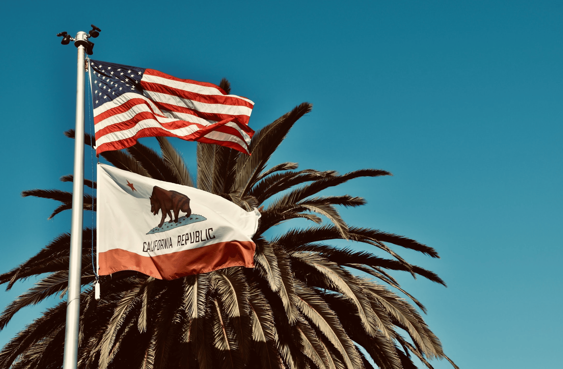 Image from Pexels