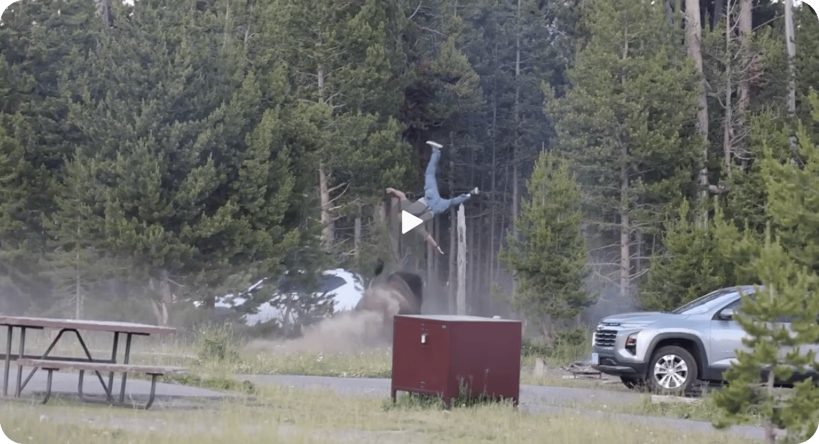 An image of Video of the Day